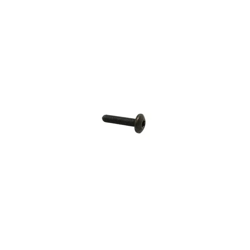 VIS TORX (6×30) TETE BOMBEE ORIGINE PIAGGIO COMMUN A LA GAMME Marque