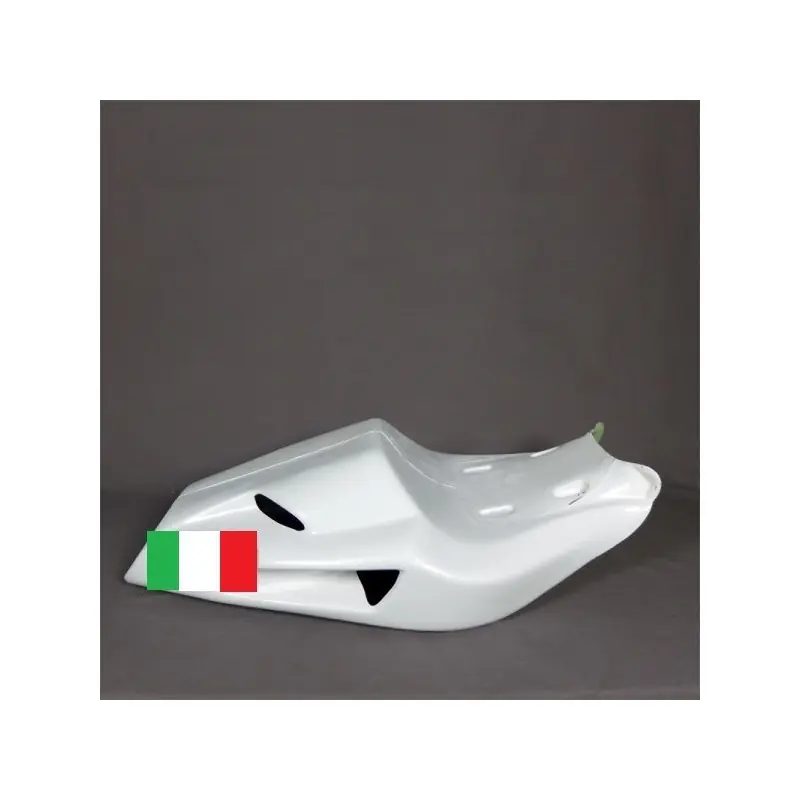 COQUE ARRIERE POLY PISTE RACING DUCATI 748 916 996 998 Seulement Aujourd&rsquo;hui