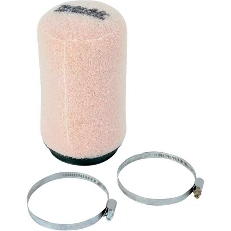 Promotion AIR FILTER W/CAGE POLARIS