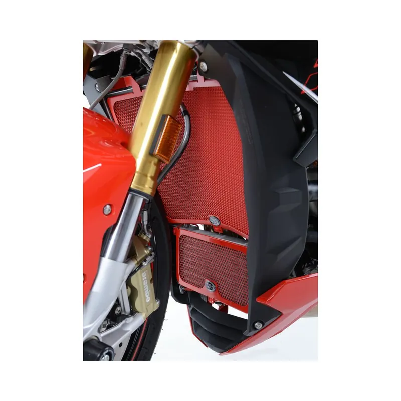 Meilleur Choix Protection de radiateur R&G Racing – BMW S1000R