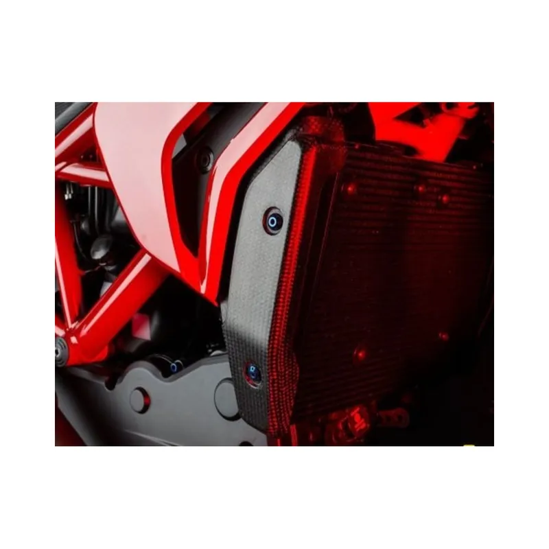 Protection de radiateur LIGHTECH carbone – Ducati 821 Hypermotard Prix Cassé