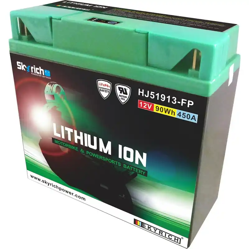 Batterie SKYRICH Lithium-Ion – 51913 Livraison Express