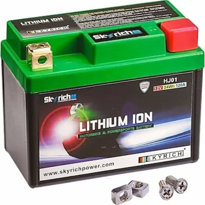 Retour Gratuit Batterie SKYRICH Lithium-Ion – HJ01