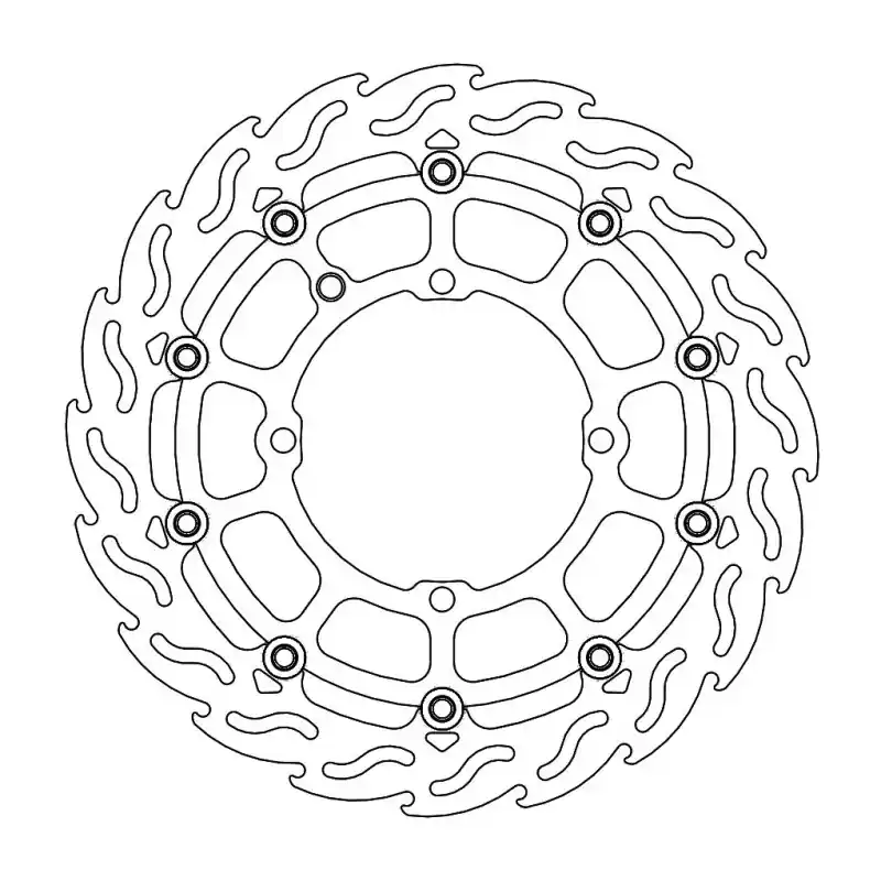 BRAKE DISC FLAME REAR Certifié