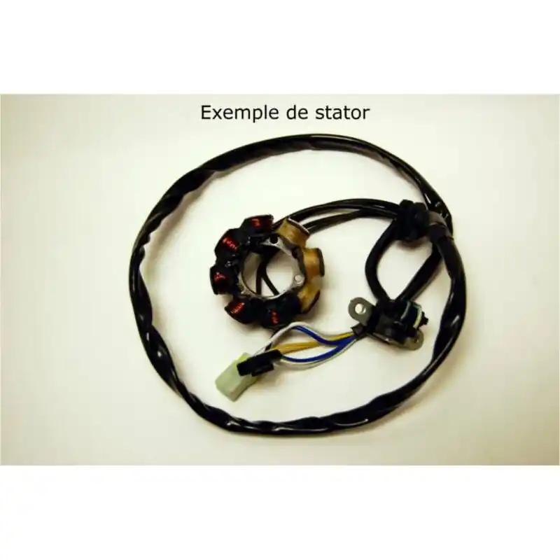 Stator ELECTROSPORT – Suzuki RM125/250 Achat Immédiat