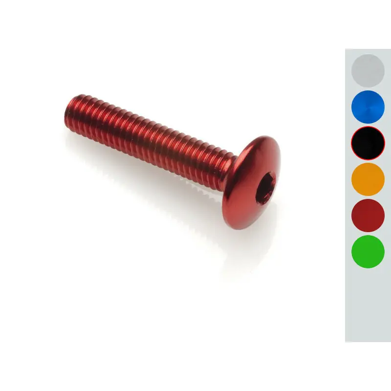 Paiement Sécurisé Vis tête bombée LIGHTECH M6 x 15 Ergal noir