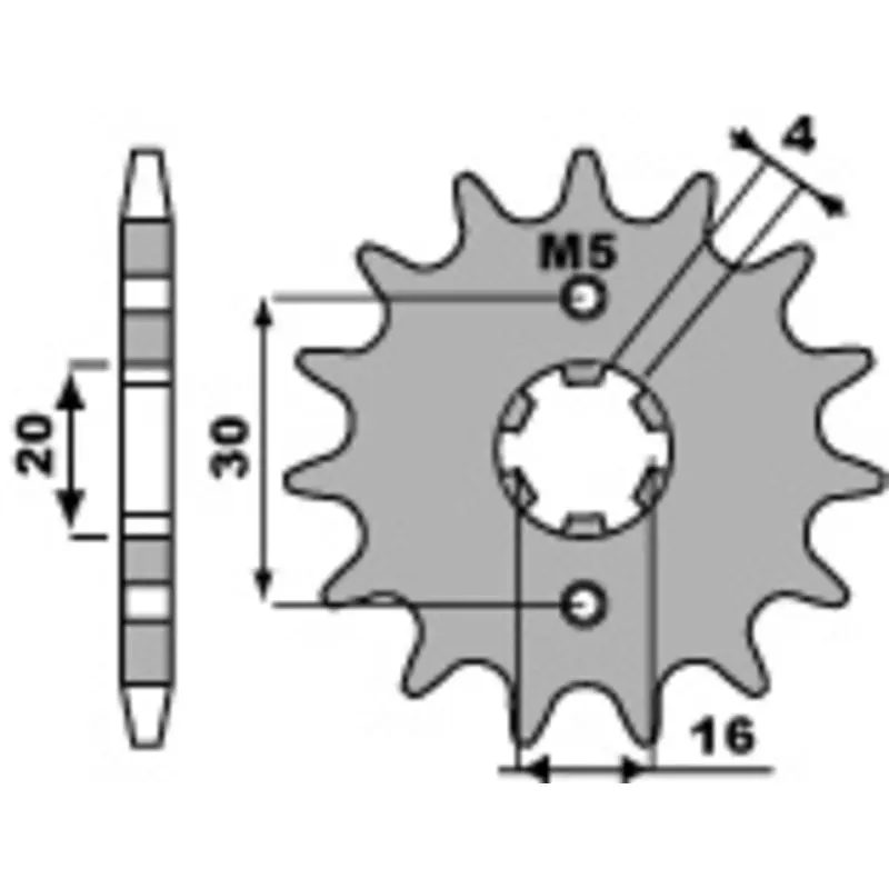 Promotion Saisonnière Pignon PBR acier standard 2177 – 428