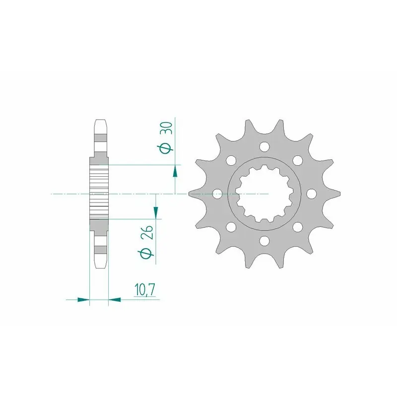 Pignon AFAM acier standard 21805 - 525 Usine Directe