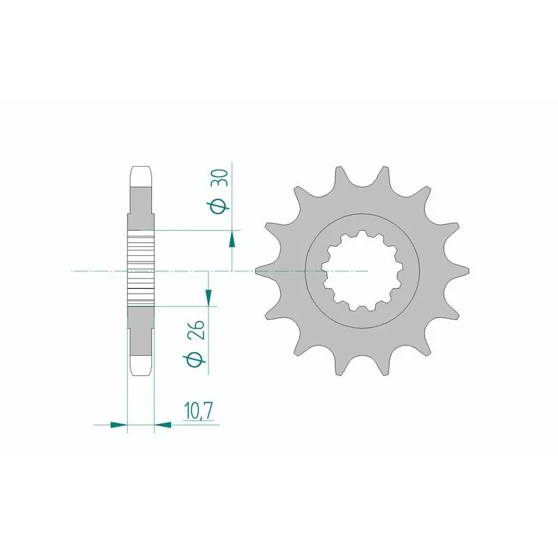Pignon AFAM acier standard 21801 - 530 Livraison Express