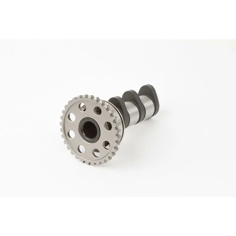 Arbre à cames HOT CAMS – Niveau 1 Honda XR250R Offre Du Jour