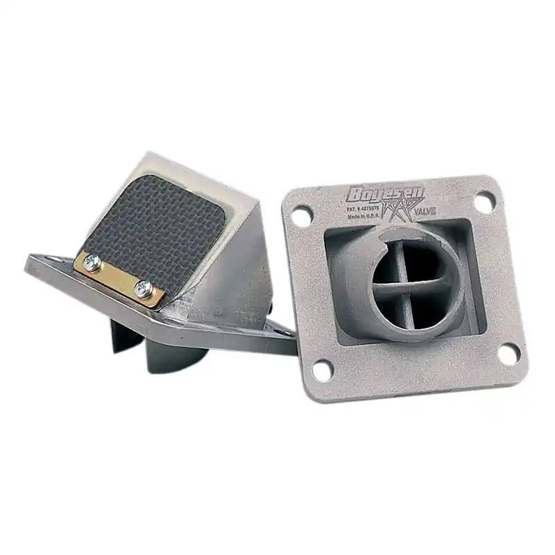 RAD VALVE LT250 88-92 Meilleur Choix