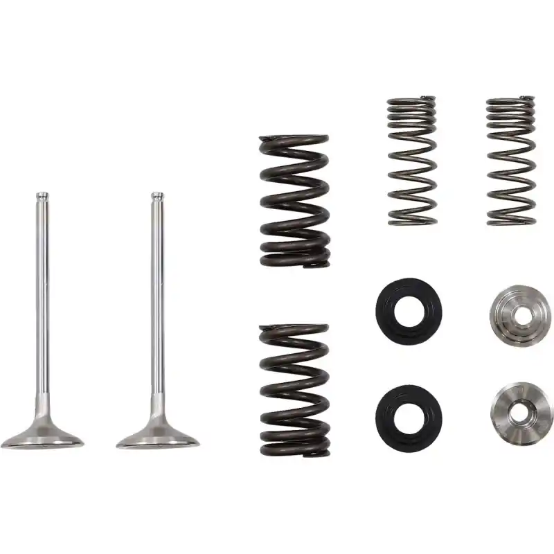 VALVE EX MSE KAW 250 Authentique