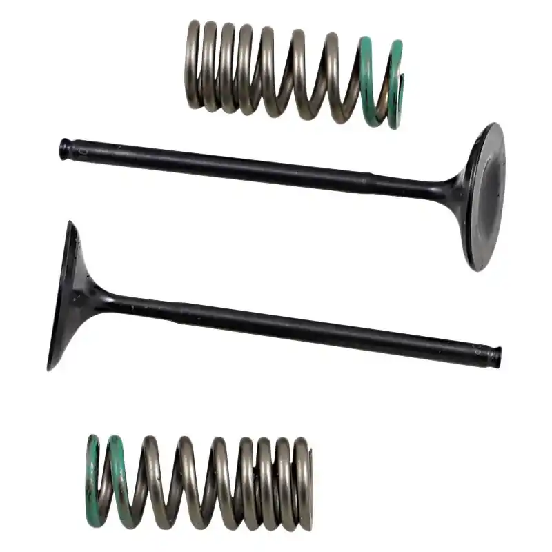 Acheter En Ligne INTAKE VALVE/SPRING KIT
