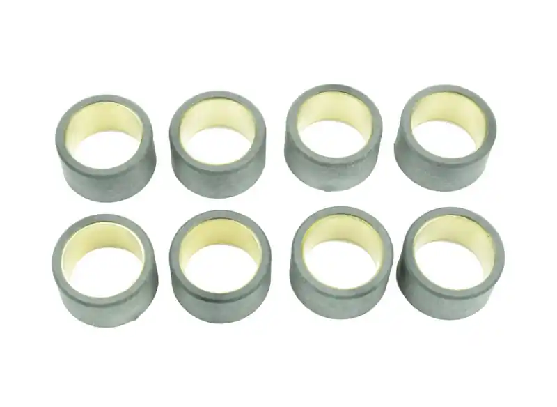 ATHENA Jeu de roulettes de variateur 25×14,9mm 14gr – 8 pièces Expédition Rapide