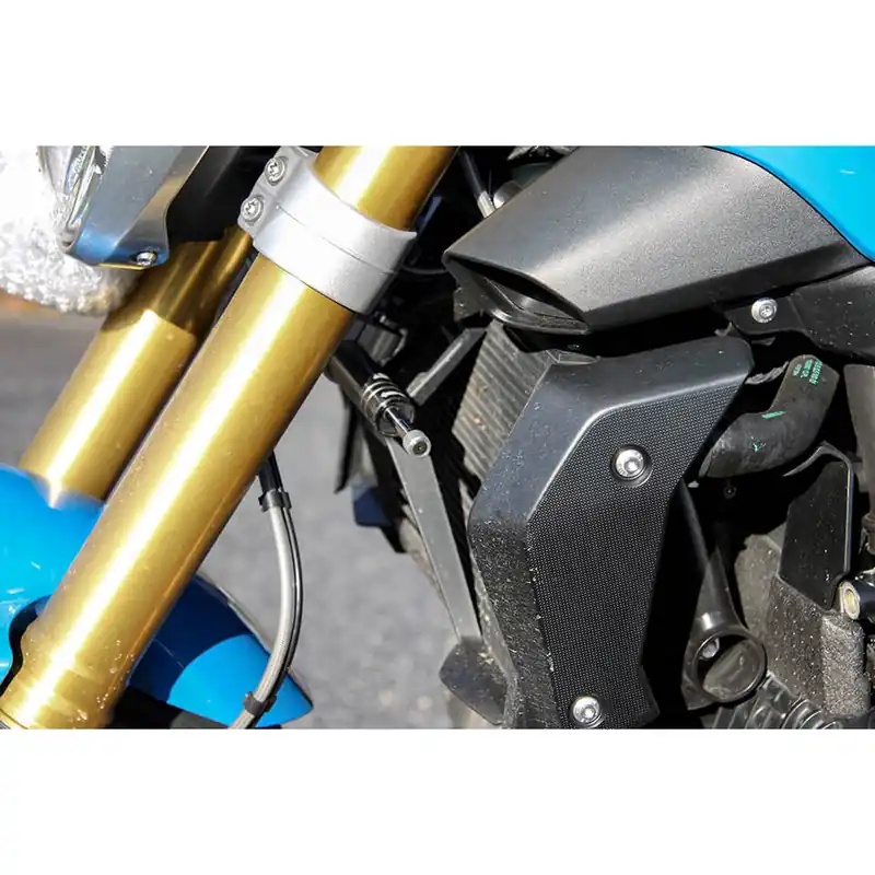 LSL Lenkungsdämpfer Kit mit Teilegutachten für BMW R1200R/RS, Typ R12WR, Mdeolljahr 2015-2016, R1200 Promotion Saisonnière